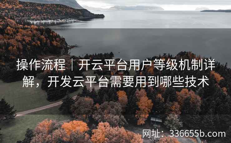 操作流程｜开云平台用户等级机制详解，开发云平台需要用到哪些技术